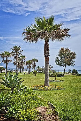Albayt Beach 3*, Casares Spain